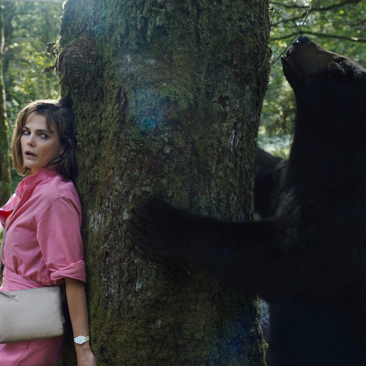 Keri Russell hides behind a tree as a bear tries to climb it in a scene from Cocaine Bear.