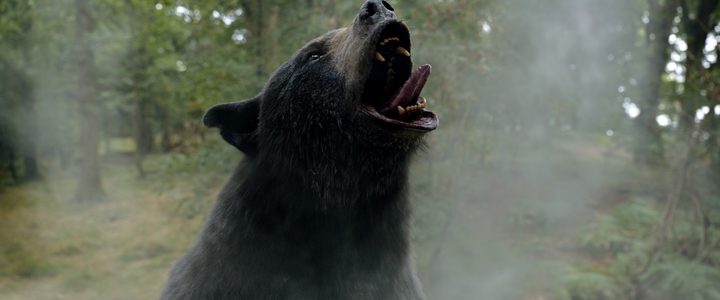 A bear throws its head back in a cloud of cocaine.