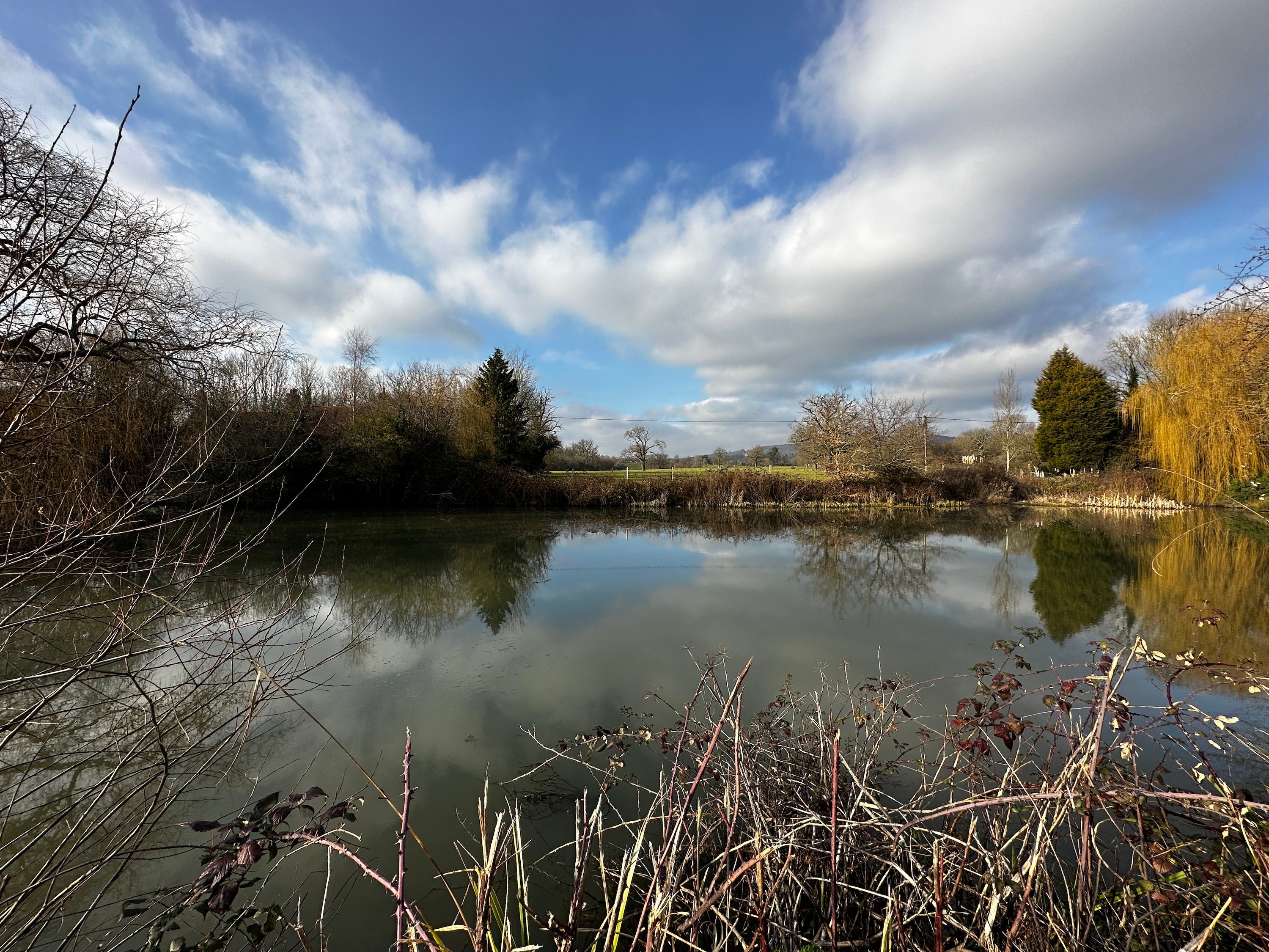 Photo taken with the iPhone 14 Pro's wide-angle camera.