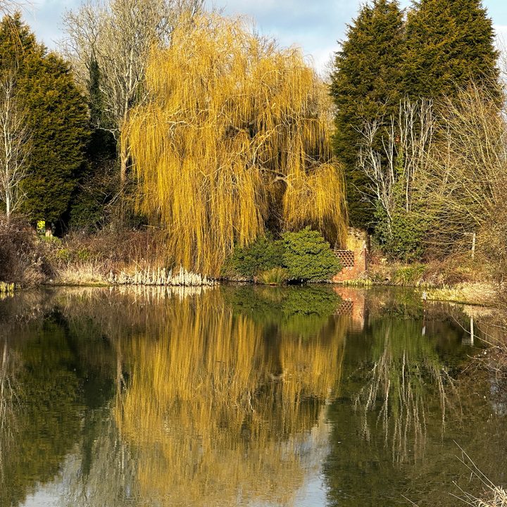 3x optical zoom photo taken with the Apple iPhone 14 Pro.