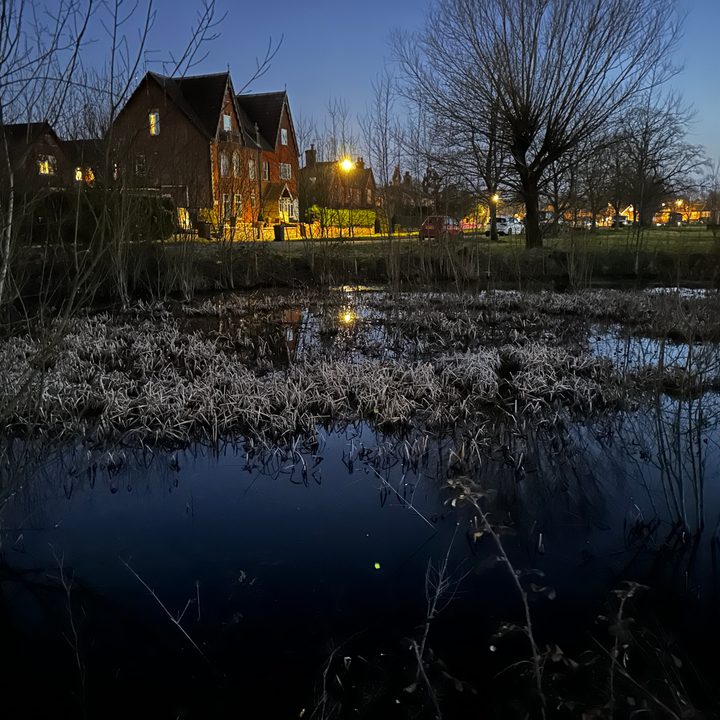 Night mode photo taken with the Apple iPhone 14 Pro.