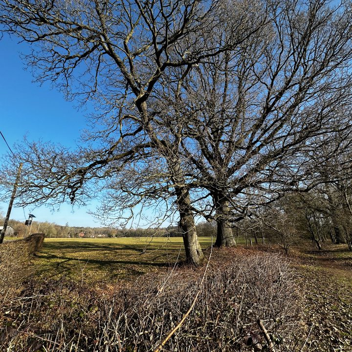 Wide-angle photo taken with the Apple iPhone 14 Pro.