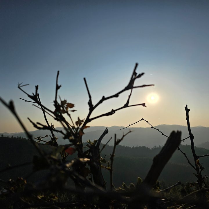 Morning sample from Samsung Galaxy S23 Ultra