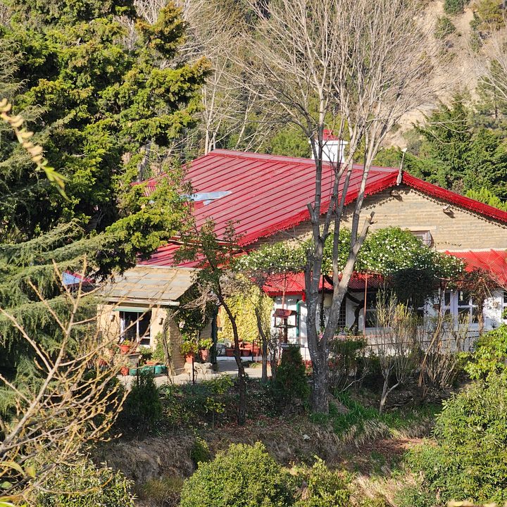 10x optical zoom sample from Samsung Galaxy S23 Ultra