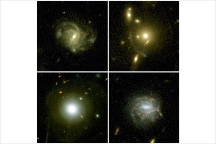 Images of four example galaxies selected from the first epoch of COSMOS-Web NIRCam observations, highlighting the range of structures that can be seen. In the upper left is a barred spiral galaxy; in the upper right is an example of a gravitational lens, where the mass of the central galaxy is causing the light from a distant galaxy to be stretched into arcs; on the lower left is nearby galaxy displaying shells of material, suggesting it merged with another galaxy in its past; on the lower right is a barred spiral galaxy with several clumps of active star formation.