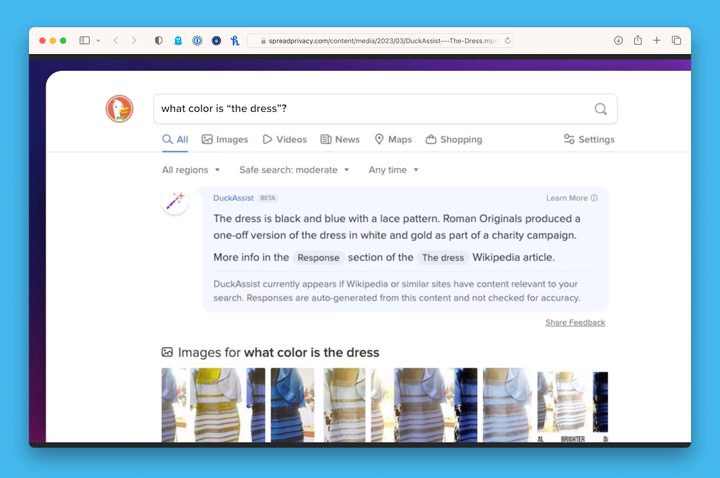The DuckAssist tool in the DuckDuckGo web browser showing a search result with an AI-generated answer summary at the top.