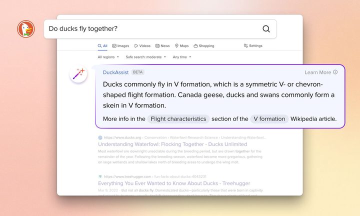 The DuckAssist tool in the DuckDuckGo web browser showing a search result with an AI-generated answer summary at the top.