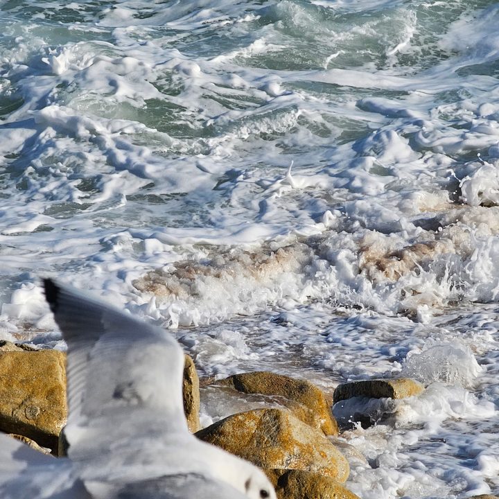 Sea by the coast.