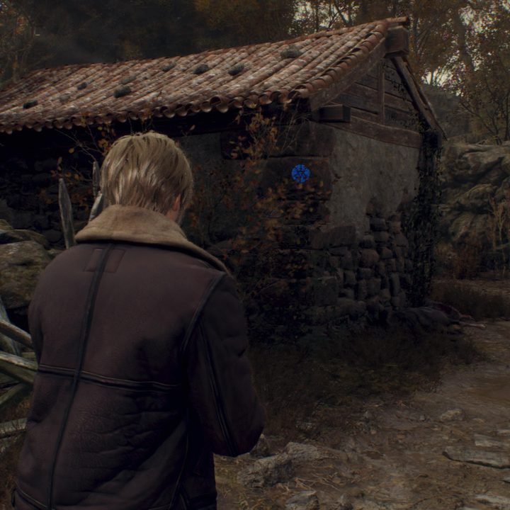 Leon looks at a Blue Medallion