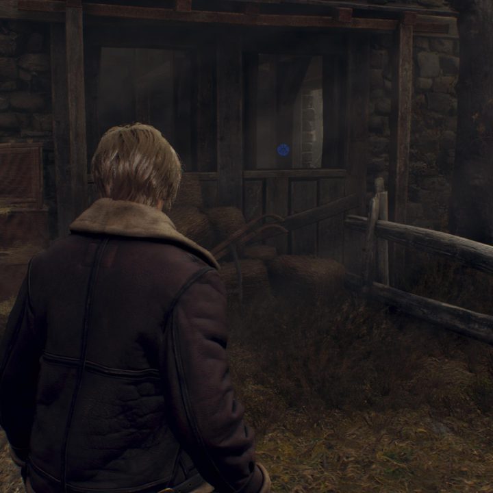 Leon looks at a Blue Medallion