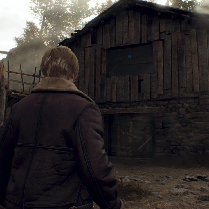 Leon looks at a Blue Medallion