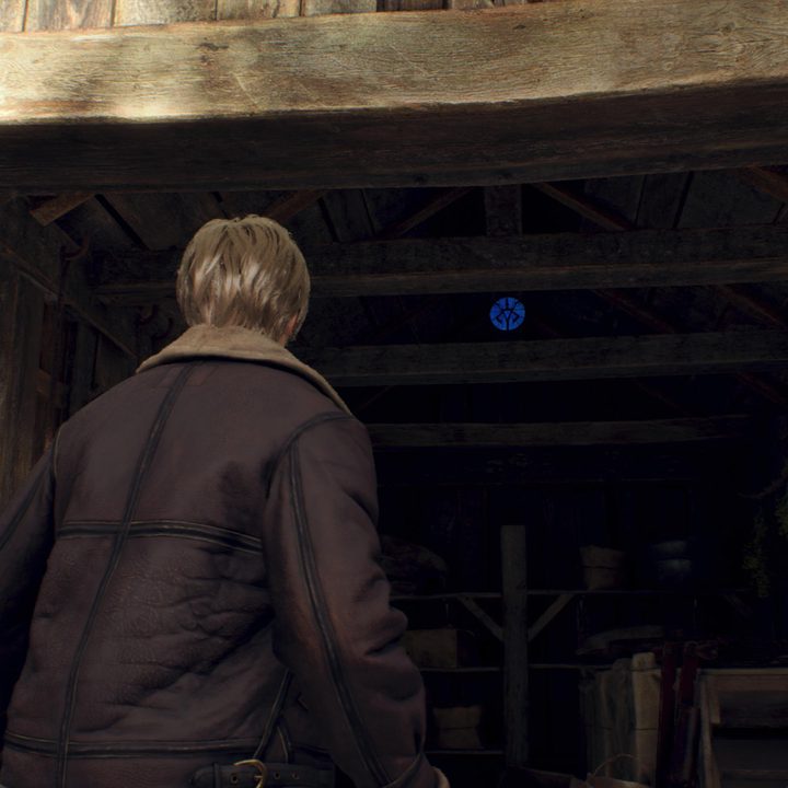 Leon looks at a Blue Medallion