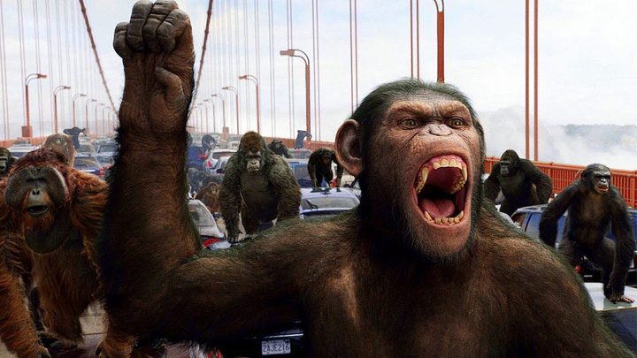 A battle from Rise of the Planet of the Apes.