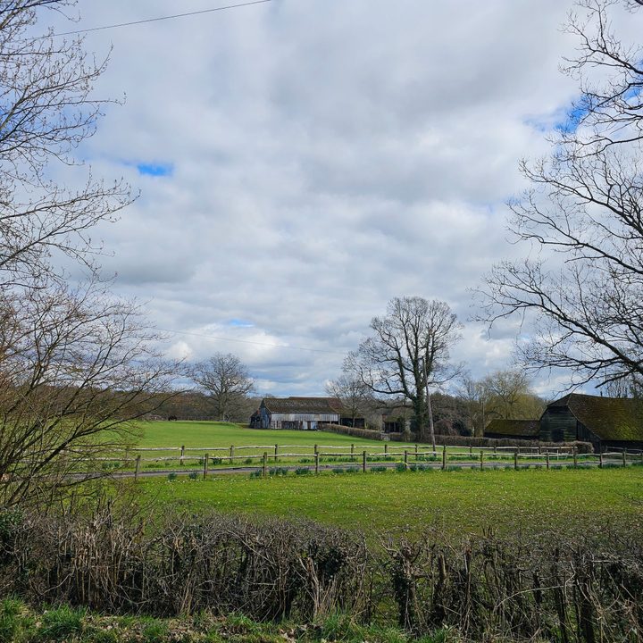 A 12MP photo taken with the Samsung Galaxy S23 Ultra.