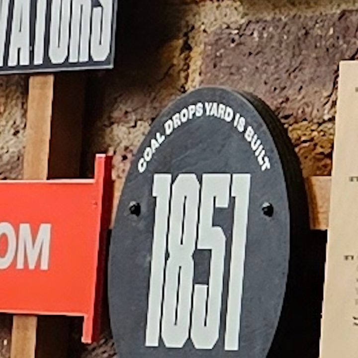 A cropped 12MP photo taken with the Samsung Galaxy S23 Ultra.