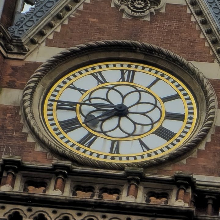 A cropped 200MP photo taken with the Samsung Galaxy S23 Ultra.