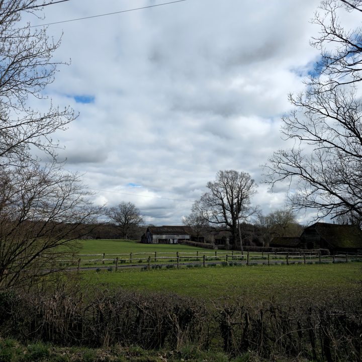 A 200MP photo taken with the Samsung Galaxy S23 Ultra.