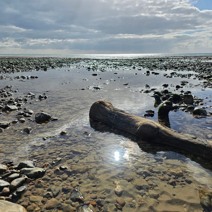 Main camera photo taken with the Samsung Galaxy S23 Ultra.