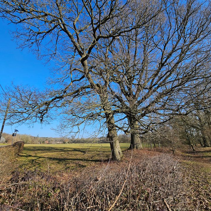 Wide-angle photo taken with the Samsung Galaxy S23 Ultra.