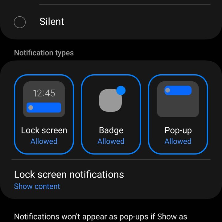 A screenshot of the App Notifications menu.