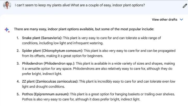 Google Bard talking about the easiest plants to keep alive indoors.
