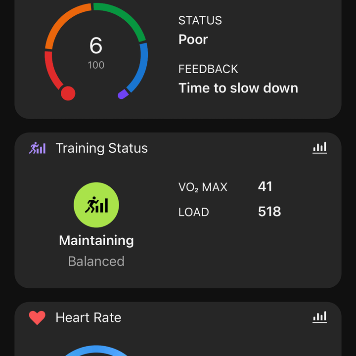 Screenshot from the Garmin Connect app.