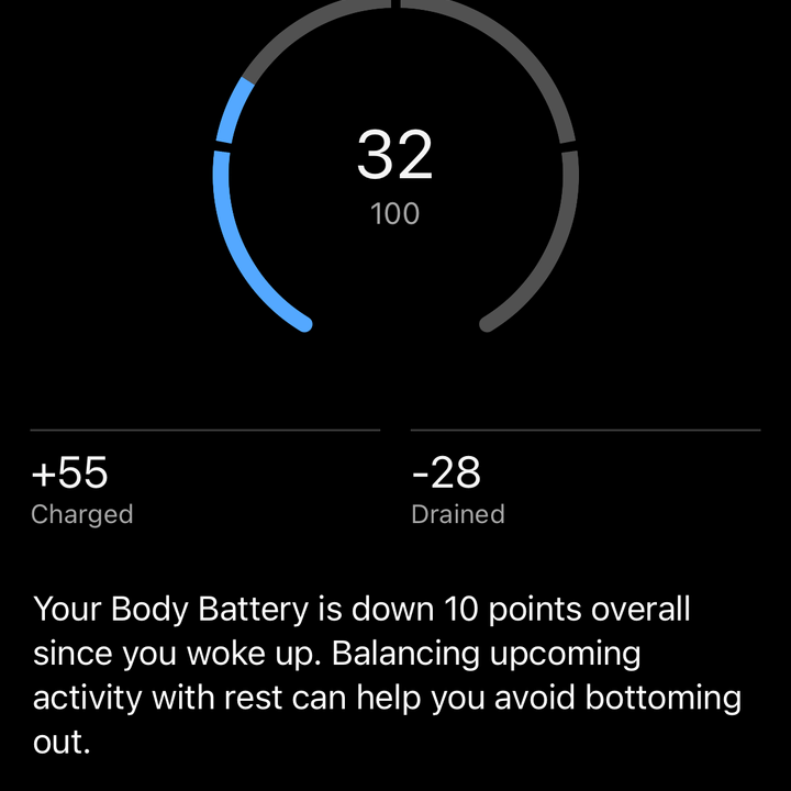 Screenshot from the Garmin Connect app.