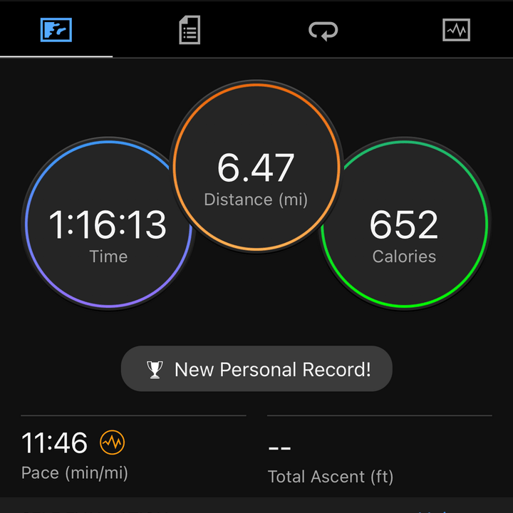 Screenshot from the Garmin Connect app.