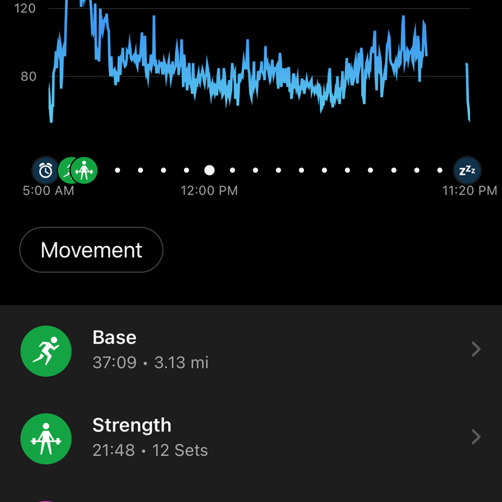 Screenshot from the Garmin Connect app.