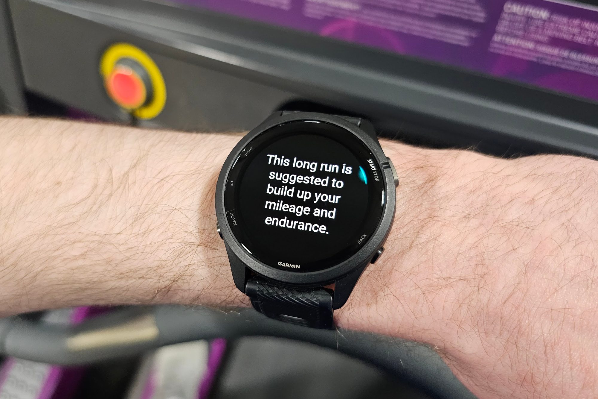 Someone wearing the Garmin Forerunner 265 on their wrist.