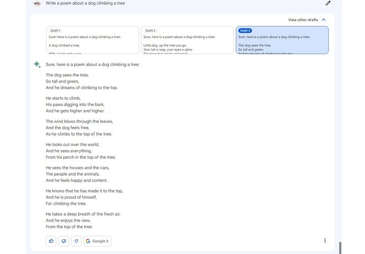 Google Bard writing a poem about a dog climbing a tree.