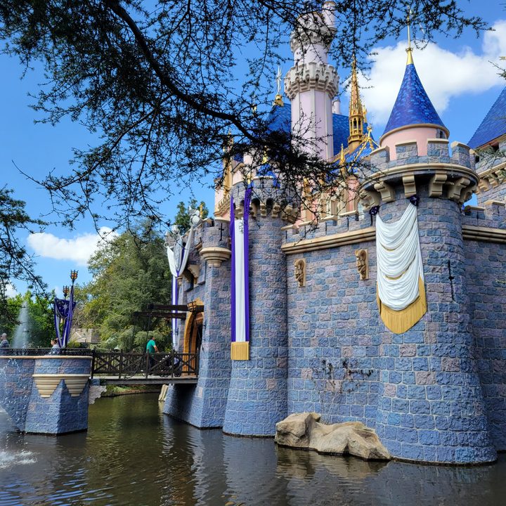 S21 photo Disneyland castle