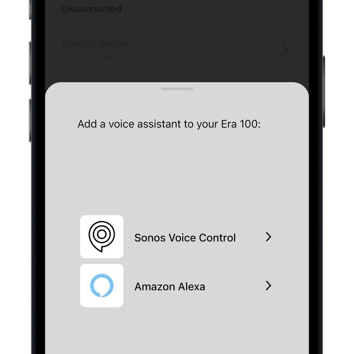 Sonos app for iOS: voice assistants.