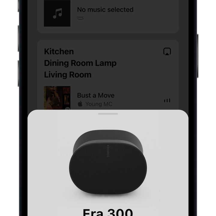 Sonos app for iOS.