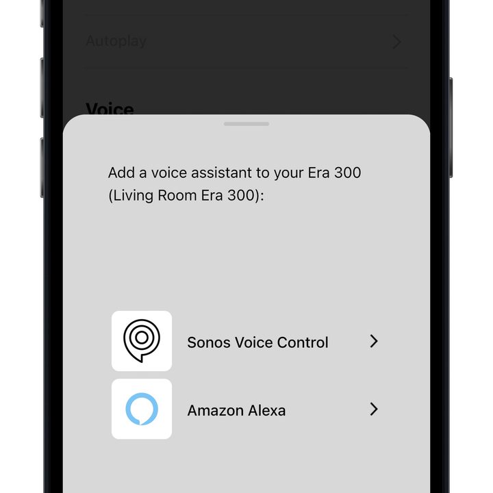 Sonos app for iOS.