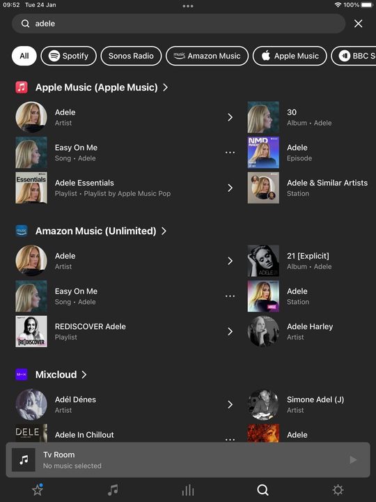 An example of the Sonos new search on an iPad.