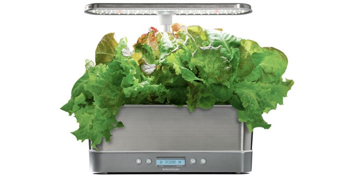 The AeroGarden Harvest Elite Slim with a plant inside and on a white background.