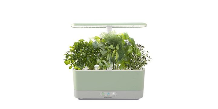 The AeroGarden Harvest Slim with a plant inside and on a white background.