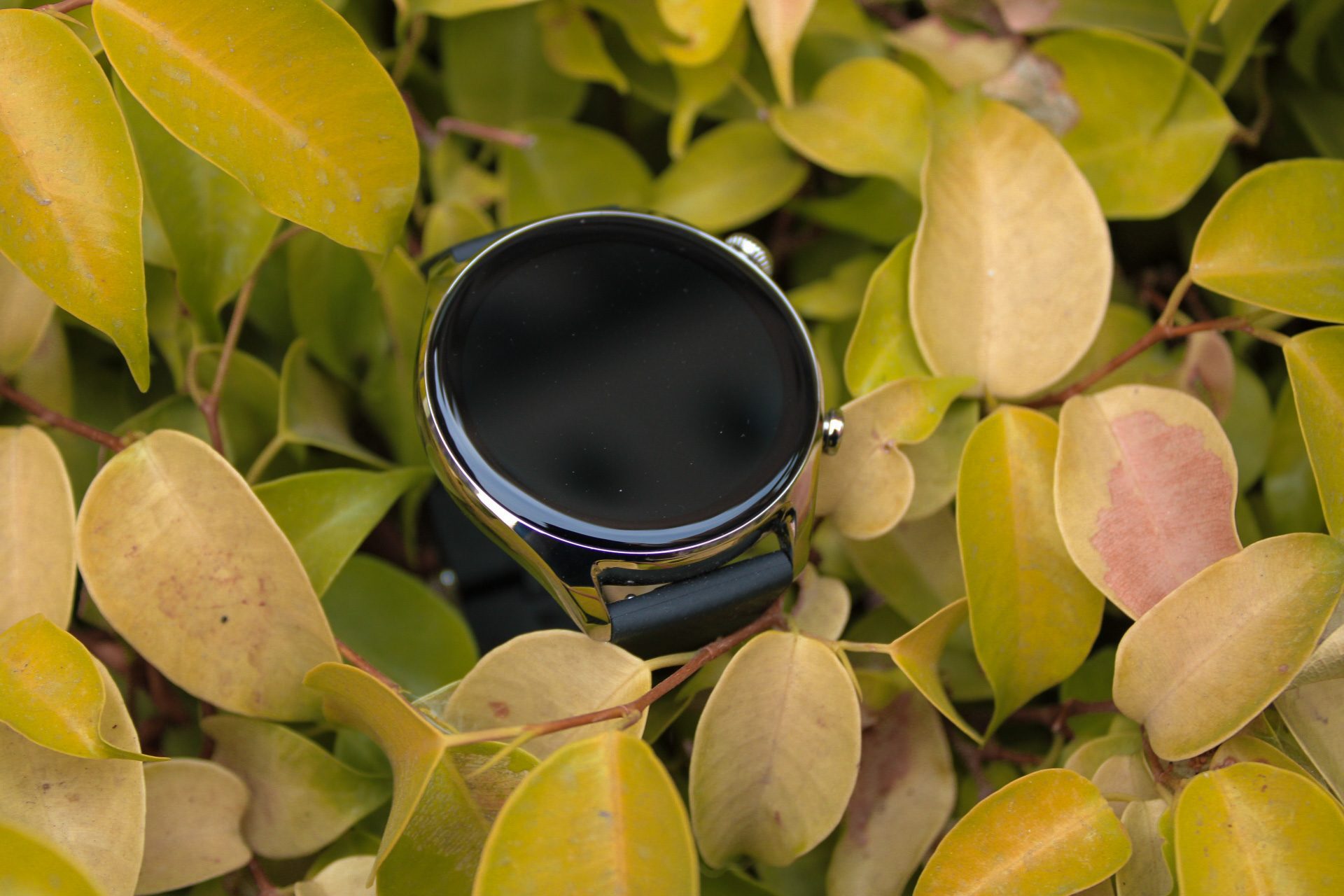 Amazfit GTR 4 LE in the leaves.