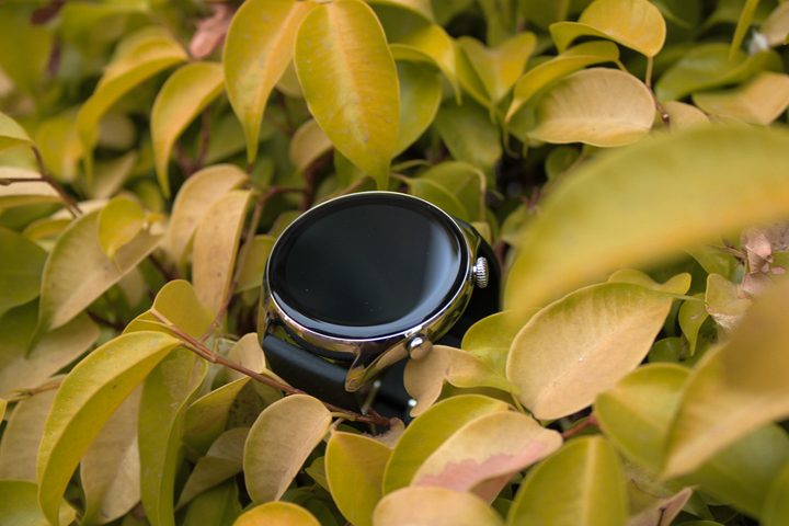 Amazfit GTR 4 LE in leaves.