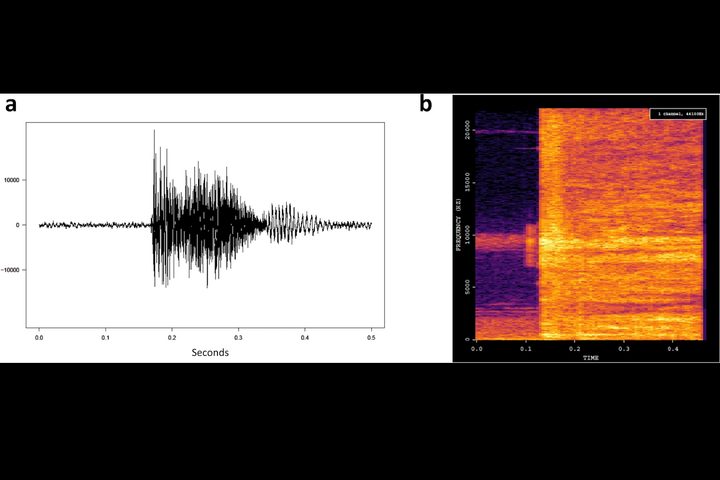 A visual representation of a cough's sound pattern.