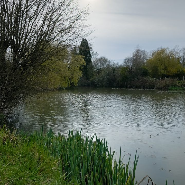 A photo edited in the Lightroom app on the Galaxy S23 Ultra.