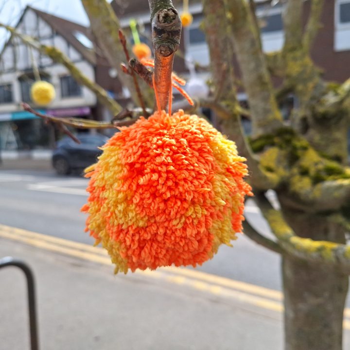 A photo taken using Portrait mode with the Galaxy A54.