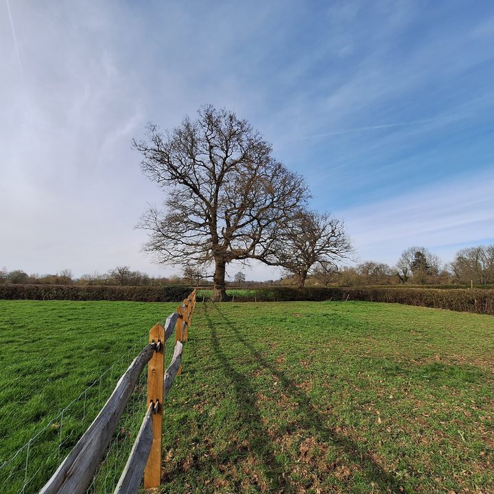 A photo taken with the Galaxy A54's wide-angle camera.