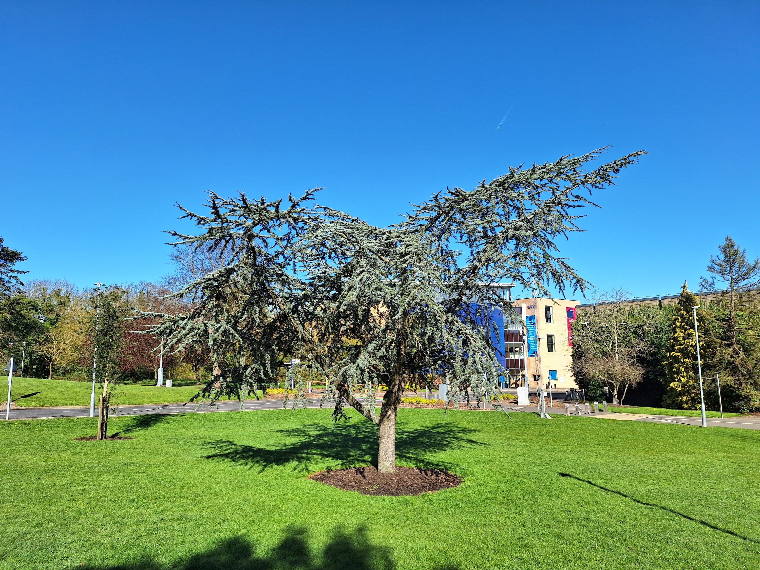A photo taken with the Samsung Galaxy A54's main camera.