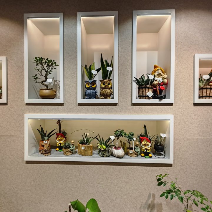 Showpieces on wall.