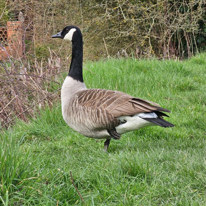 A photo taken with the Galaxy S23 Ultra's 10x zoom camera.