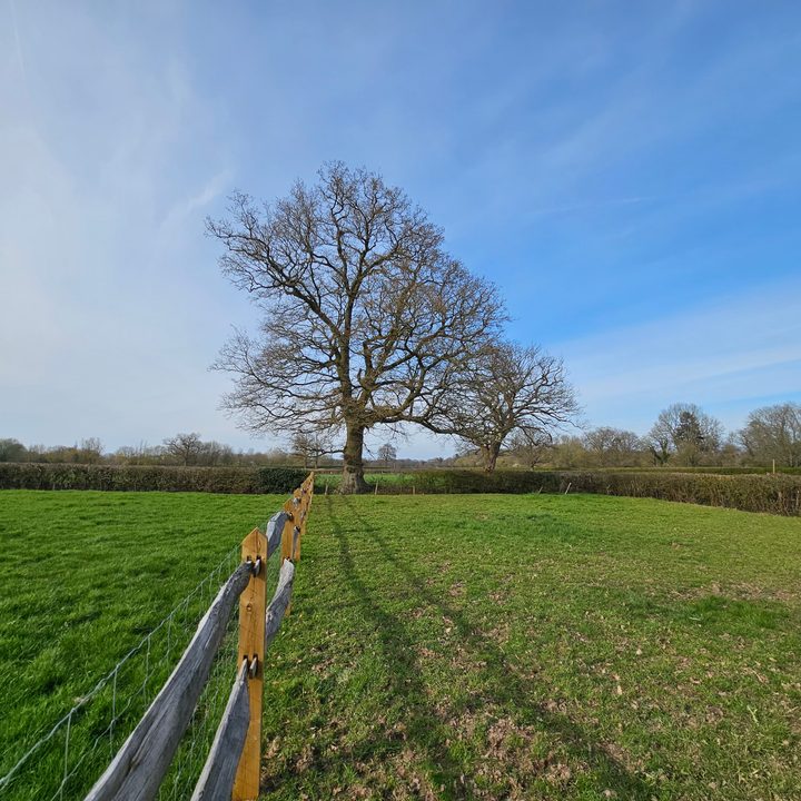 A photo taken with the Galaxy S23 Ultra's wide-angle camera.