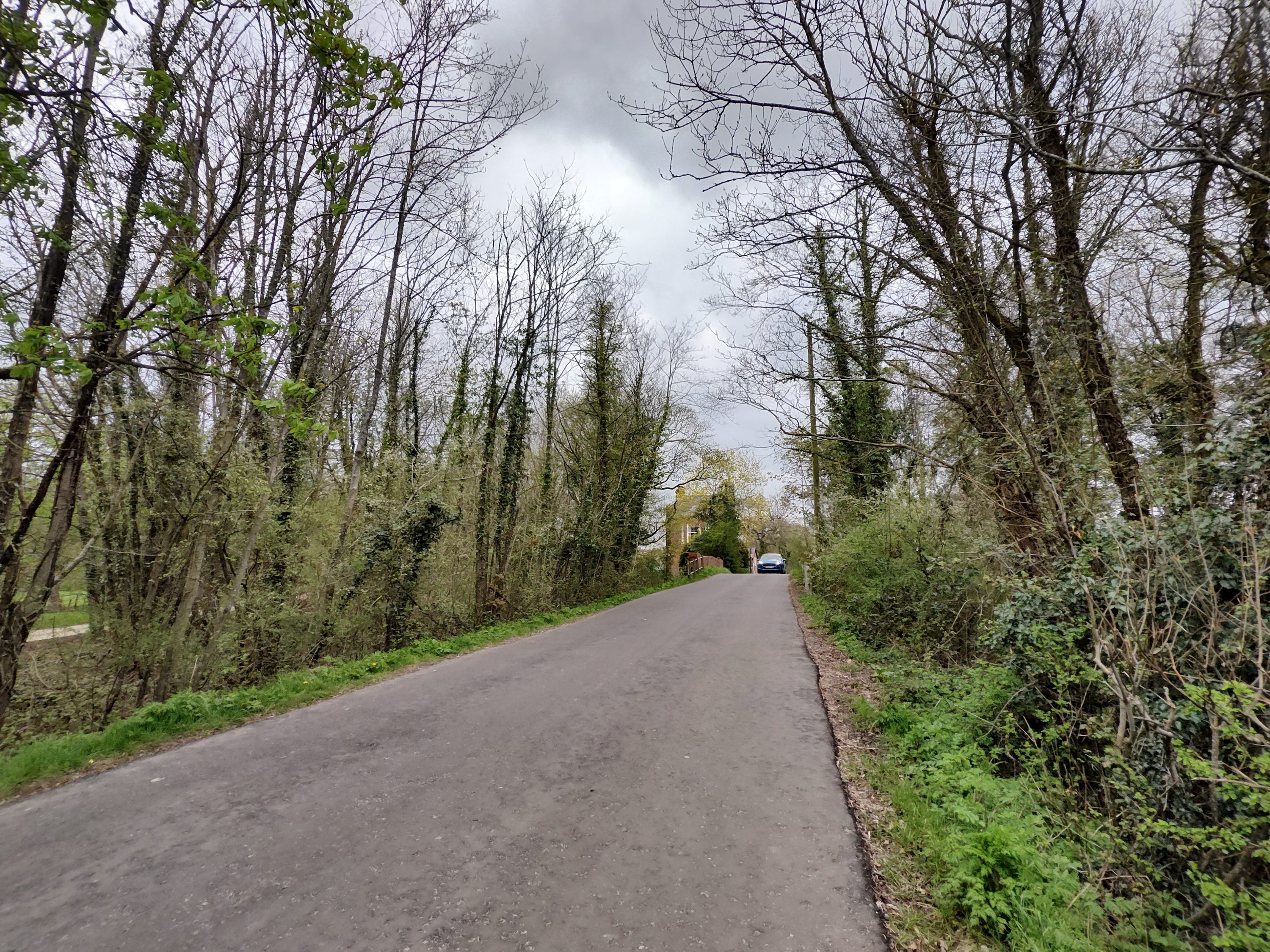 A photo taken using the Motorola ThinkPhone's wide-angle camera.