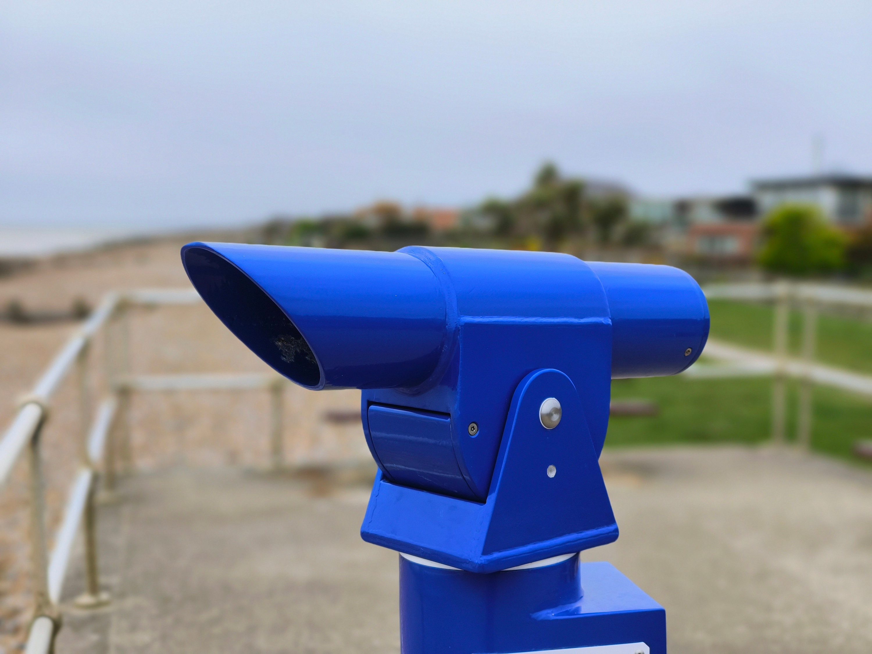 A portrait mode photo taken by the Vivo X90 Pro.